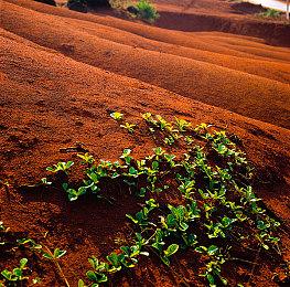 创意总监暗示育碧将在今年公布《星球大战》更多消息